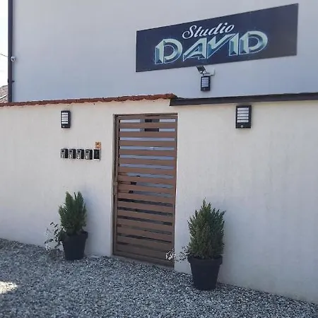 Apartment *studio David*